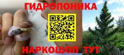 ПСИЛОЦИБИНОВЫЕ ГРИБЫ Северобайкальск