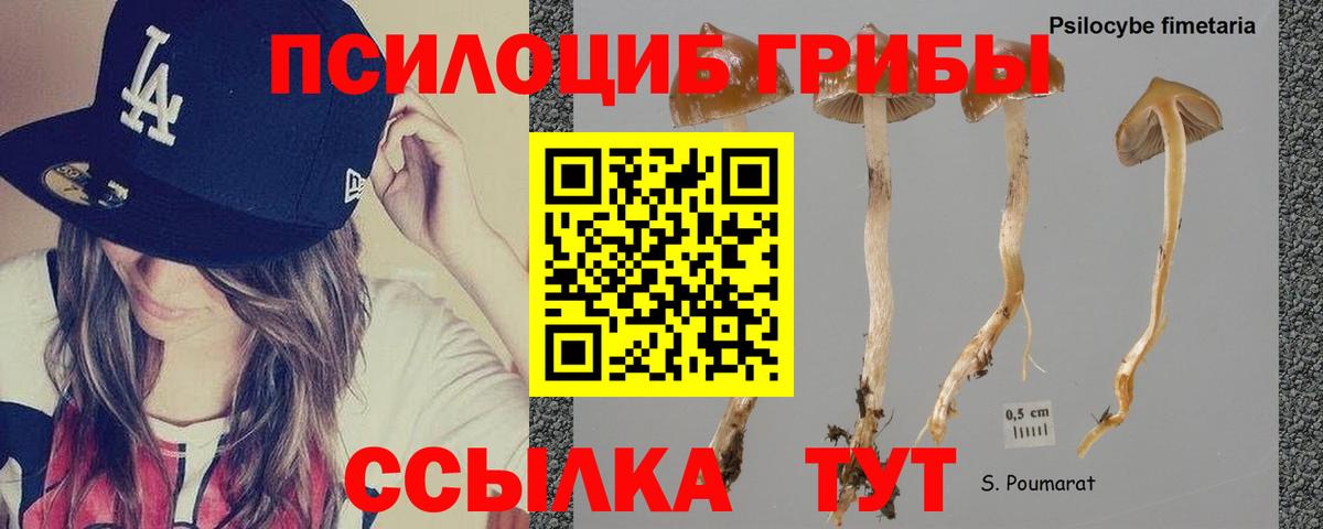 Омск  Галлюциногенные грибы прущие грибы  Вход с VPN 